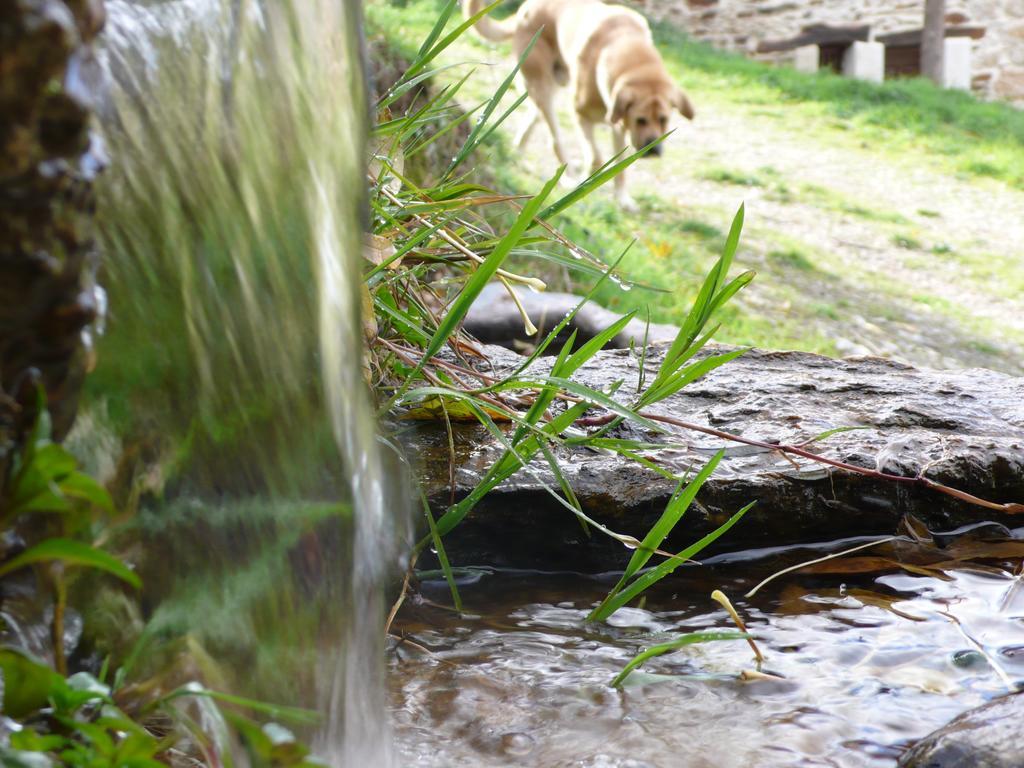 Hotel Rural La Peregrina Carucedo Zewnętrze zdjęcie